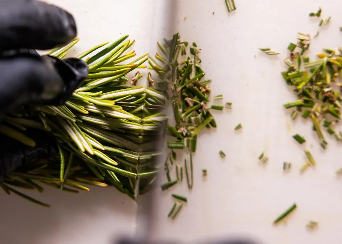 Szálloda Castellucci Bellaria – Igea Marina